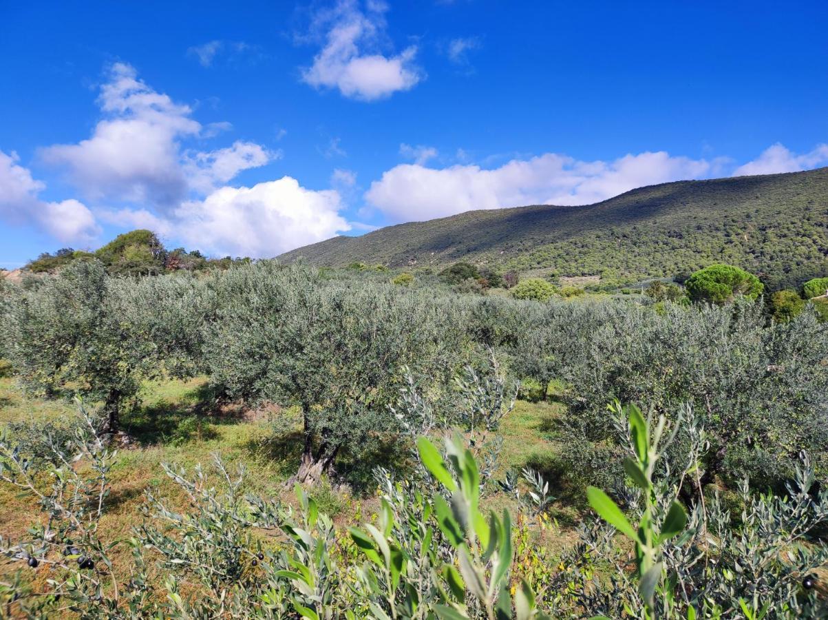 הוילה ניונס Terre De Lumiere מראה חיצוני תמונה