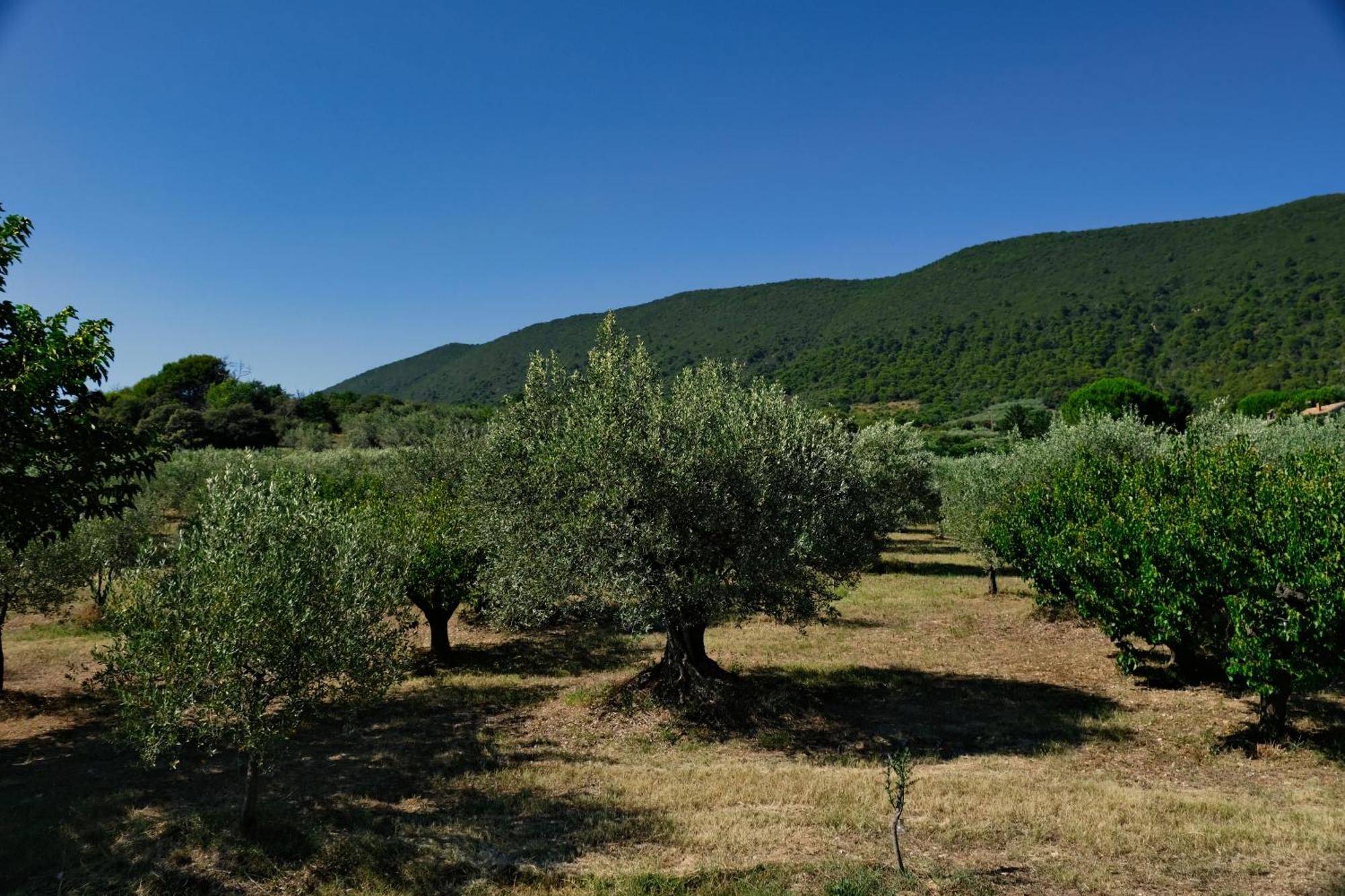 הוילה ניונס Terre De Lumiere מראה חיצוני תמונה